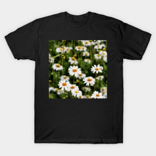 Bunch of Daisies Pattern T-Shirt